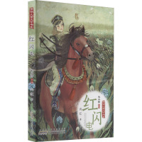 开明儿童文学书系·红闪电