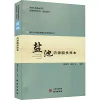 盐池 内源脱贫样本