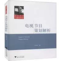 电视节目策划解析