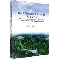 抽水蓄能机组调节系统建模优化与评估