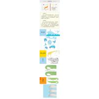 动物数字+动物颜色套装