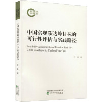中国实现碳达峰目标的可行性评估与实践路径