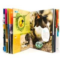 神奇动物园:写给孩子的野生鸟类大百科