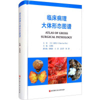 临床病理大体形态图谱 临床病理大体形态图谱 支气管肺隔离症 继发性肿瘤 王功伟 北京