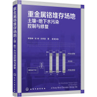 重金属铬堆存场地土壤-地下水污染控制与修复