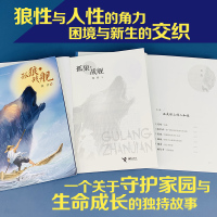 孤狼·战舰