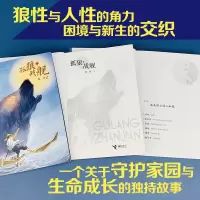 孤狼·战舰
