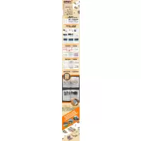 公共交通引导城市发展(TOD)实践者资源与工具手册