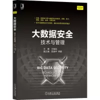 大数据安全:技术与管理