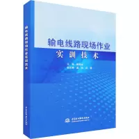 输电线路现场作业实训技术