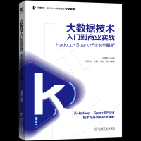 大数据技术入门到商业实战——Hadoop+Spark+Flink全解析
