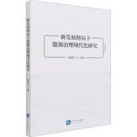 新发展格局下能源治理现代化研究