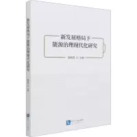 新发展格局下能源治理现代化研究