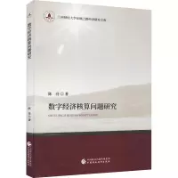数字经济核算问题研究
