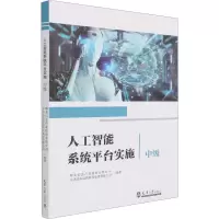 人工智能系统平台实施中级