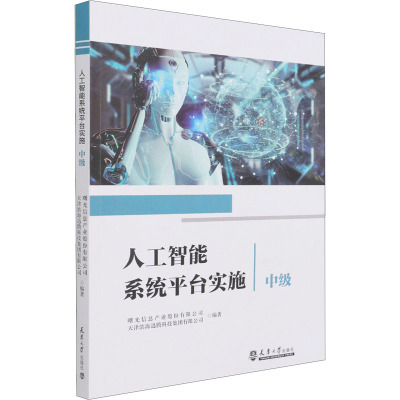 人工智能系统平台实施中级