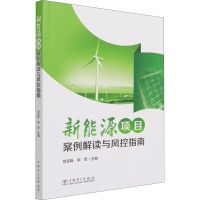 新能源项目案例解读与风控指南