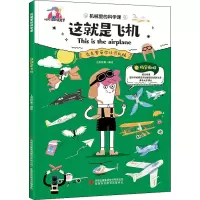 这就是飞机