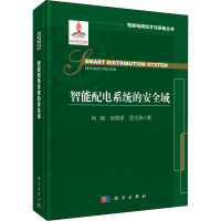 智能配电系统的安全域