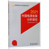 能源与电力分析年度报告系列 2021 中国电源发展分析报告