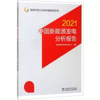 能源与电力分析年度报告系列 2021 中国新能源发电分析报告