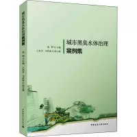 城市黑臭水体治理案例集