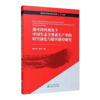 强可持续视角下中国生态全要素生产率的时空演化与提升路径研究