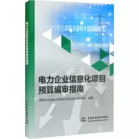 电力企业信息化项目预算编审指南
