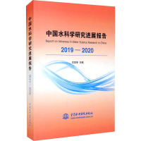 中国水科学研究进展报告2019—2020
