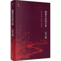 踏着月光的行板(迟子建作品)茅盾文学奖、鲁迅文学奖得主迟子建小说代表作,四个各具魅力的情爱世界。