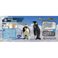 十万个为什么AR版