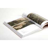 艺术即历史:书画同体(典藏版)