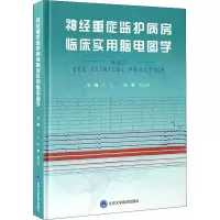 神经重症监护病房临床实用脑电图学