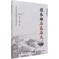 [N]桂东南名菜名点-9787511651204