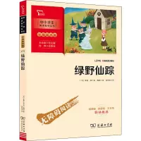 新彩插励志版 绿野仙踪