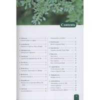 Field Guide to Medicinal Plants in the Federated States of M