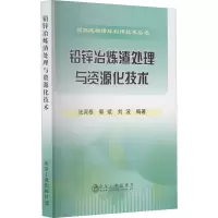 铅锌冶炼渣处理与资源化技术