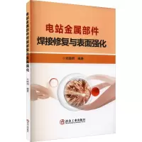 电站金属部件焊接修复与表面强化
