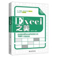[N]Excel之美(迅速提高Excel数据能力的100个关键技能)-9787301320945