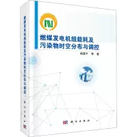 燃煤发电机组能耗及污染物时空分布与调控