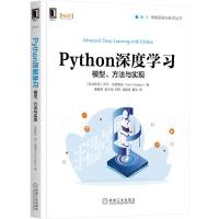Python深度学习:模型、方法与实现