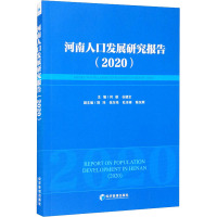河南人口发展研究报告(2020)