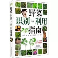 野菜识别与利用指南