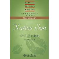 [M]剑桥美国小说新论.26-《土生子》新论(英文影印版)-9787301114377