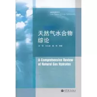 [M]天然气水合物综论-9787040340099