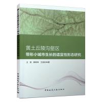 黄土丘陵沟壑区带形小城市生长的适宜性形态研究