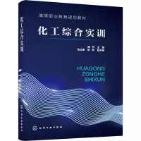 化工综合实训(高等职业教育规划教材)