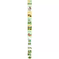 幼儿大块进阶拼图·动物:雨林动物