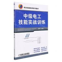[N]中级电工技能实战训练(职业技能培训系列教材)-9787111252382