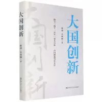 [N]大国创新(精)-9787300294100